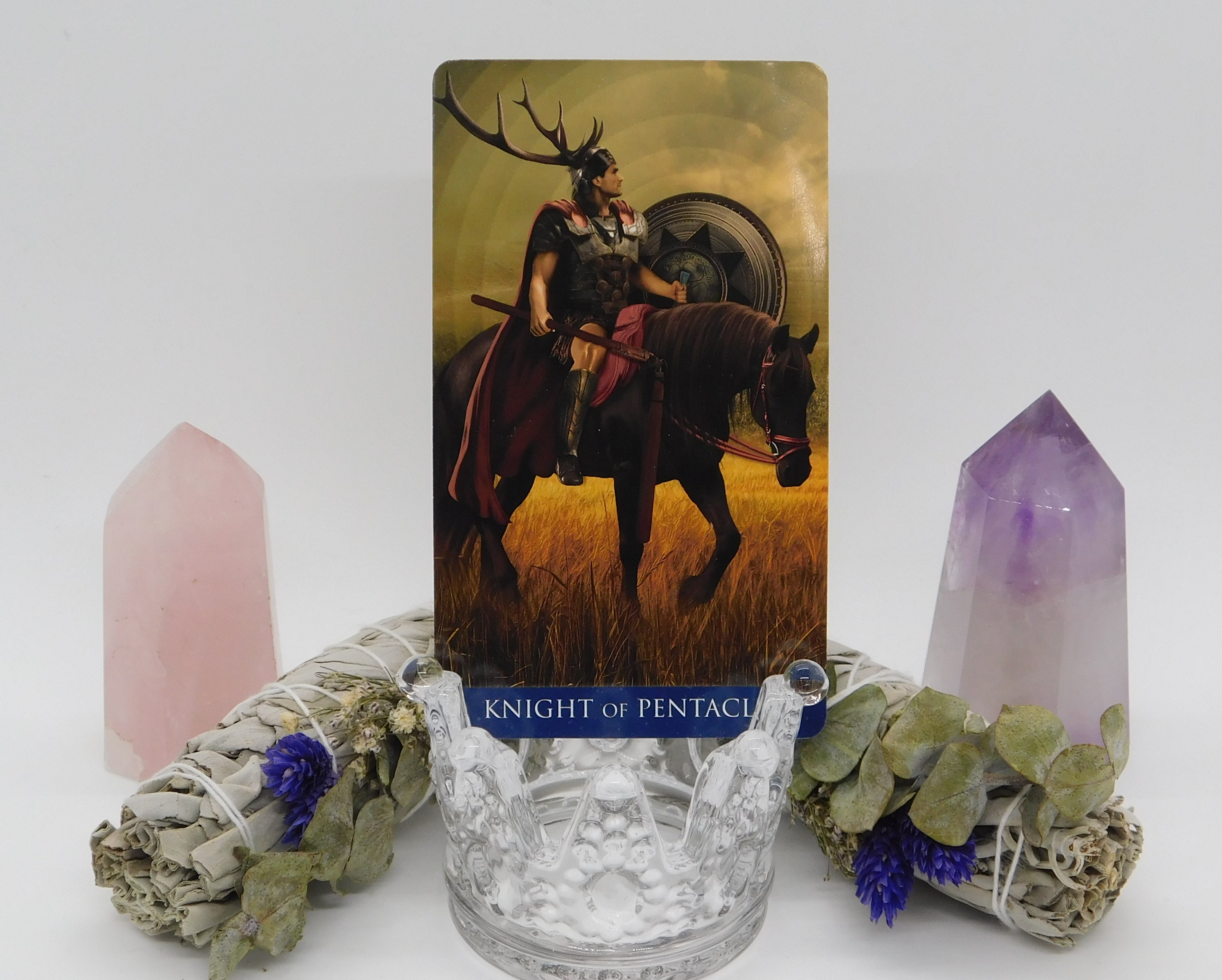 Knight of Pentacles