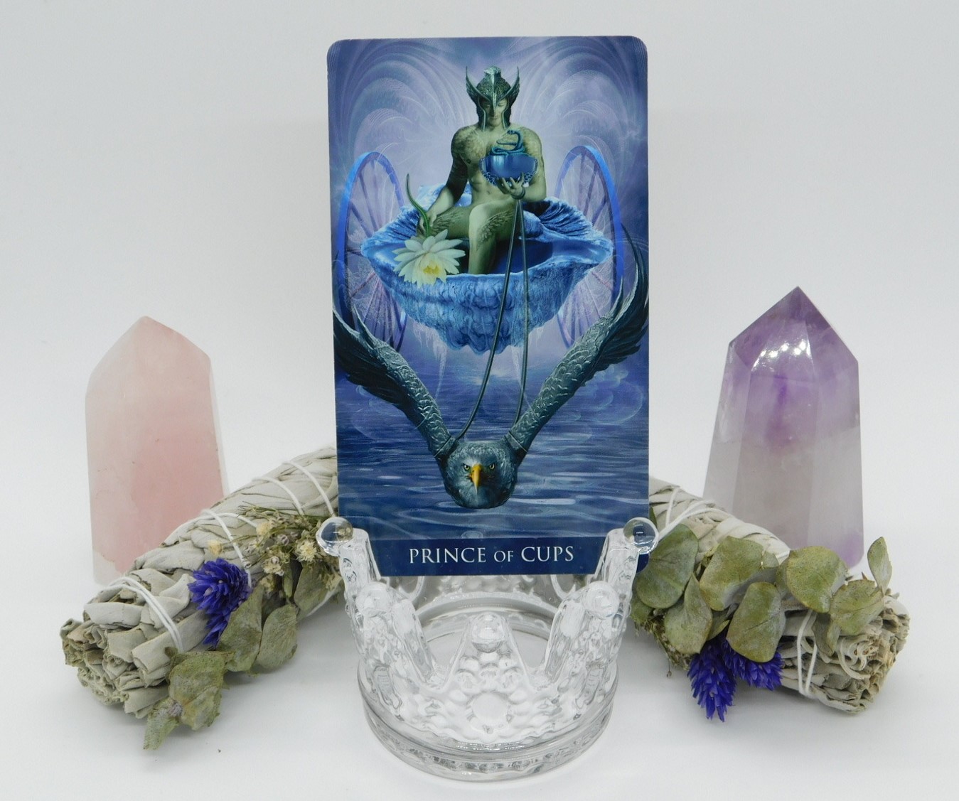 Prince of Cups